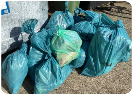 Bild News Startseite